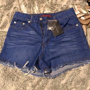 Signature 8 festival shorts💕